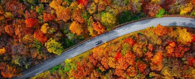 Golden Years, Golden Leaves: Top Late-Season Autumn Trips
